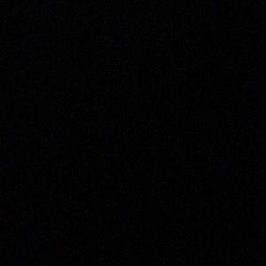 Meet your Posher, Coco